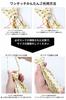 [Businessman Support] One-touch tie with dimple, zip-type easy tie, 5-pack, Type A zip5a-b3d1e3h2k3