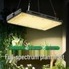 Vollspektrum LED Pflanzenlicht für Gewächshaus Gemüse & Blumen