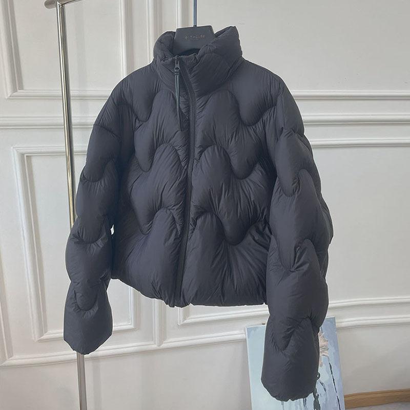 Simple Literary White Duck Down Jacket Women's Winter New Fashion Stand-up Collar Small Light Casual Style