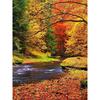 DIY 5D Diamond Painting Autumn Landscape Tree Diamond Embroidery Cross Stitch Mosaic Full Round