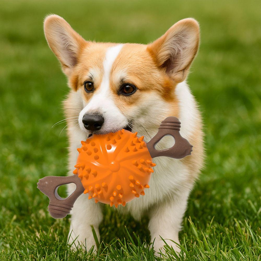 Pet Supplies Bite Resistant Dog Teething Stick Soft with Raised Dots Dog Bone Molar Ball TPR Dog Chew Toy Playing