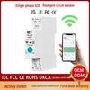 WiFi Smart Circuit Breaker with Single-Phase Metering & Remote Timing Control