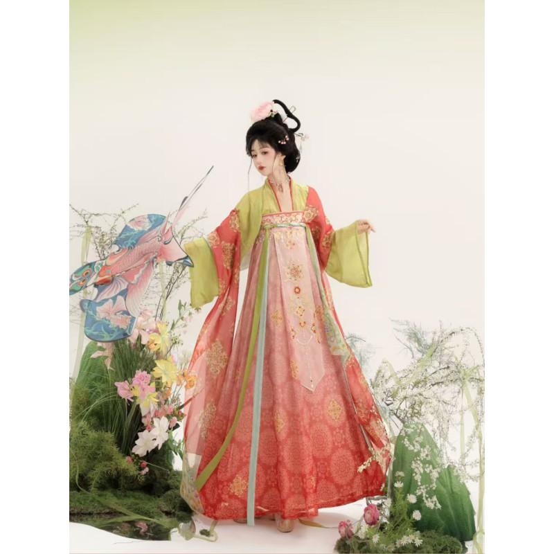 Womens Tang Dynasty Style Hanfu Set With Embroidered Peasant Skirt Chiffon Top Sash Fall Winter Wear