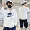 Boys' 100% Cotton Long-Sleeve T-Shirt - Loose Fit, Round Neck, Autumn Fashion for Kids