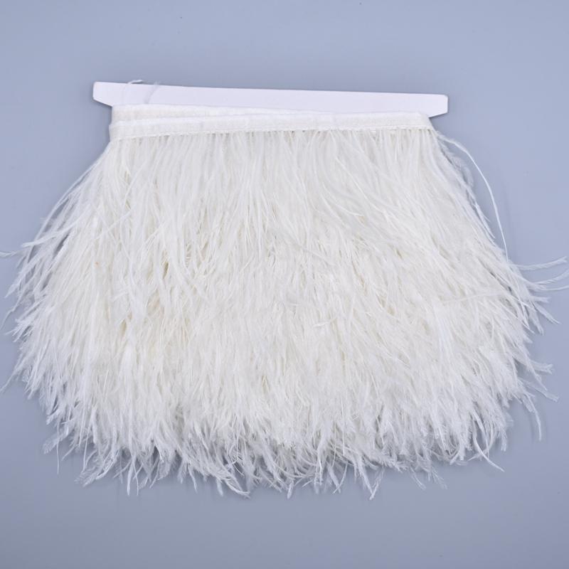 10 Mètres Plumes d'Autruche Colorées sur Passepoil Ruban 8-10 cm Franges de Jupe sur Bande Garnitures Plumes d'Autruche Garnitures de Couture Décoration