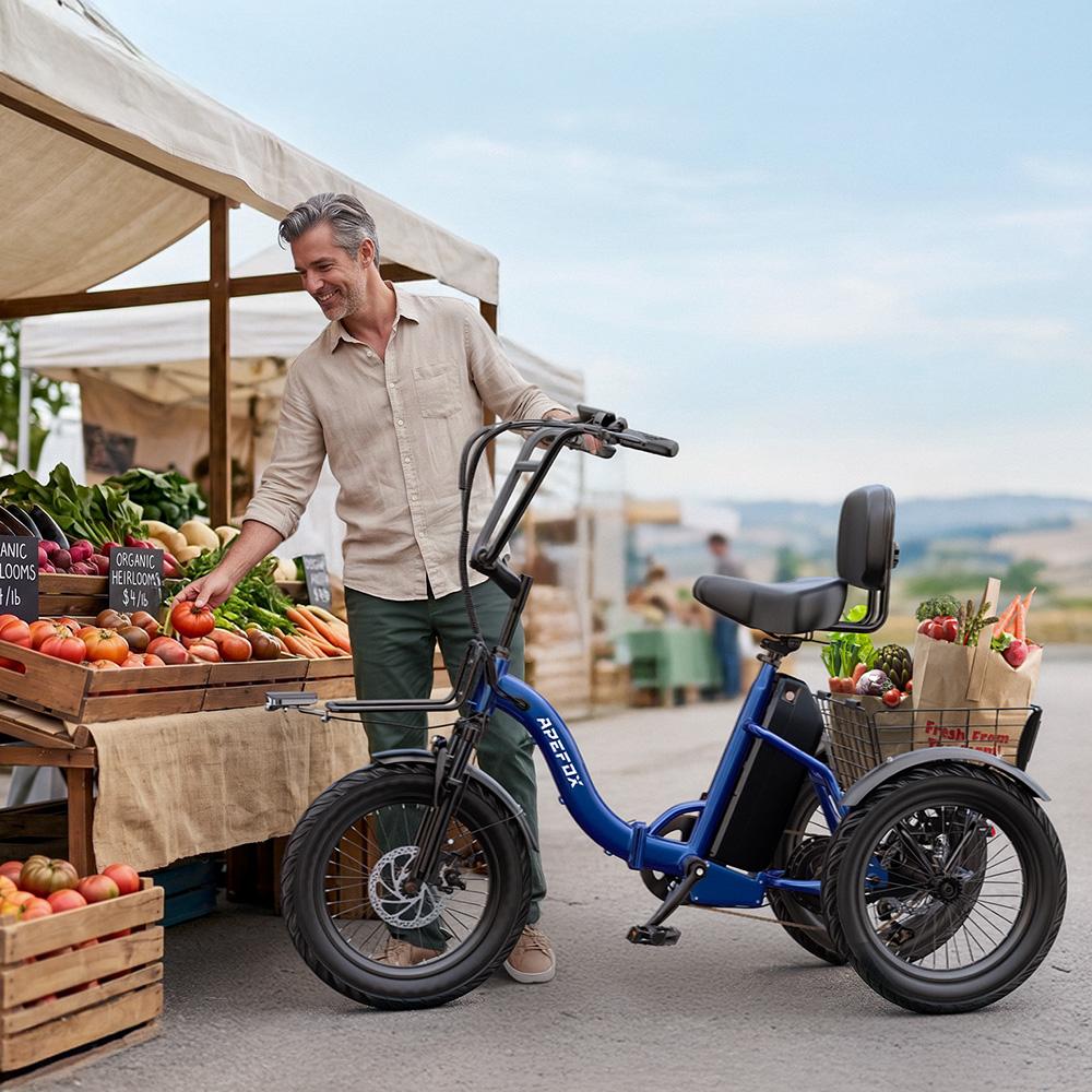 Electric Bicycle Apefox Rh30 18" Tire 500W Motor Urban Electric Freight Bike 48V 15Ah Dual Disc Brakes 7 Speed Max Range 70Km Blue