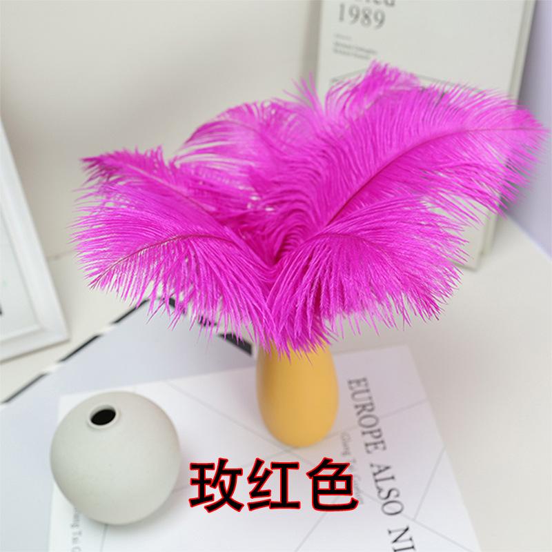 10PCS 20-25Cm Ostrich Feather Stage Performance Feather Handmade Diy Jewelry Decorative Material Ostrich Hair