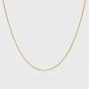 Falconer (M) Chain Necklace (YG) (42cm)_282300251