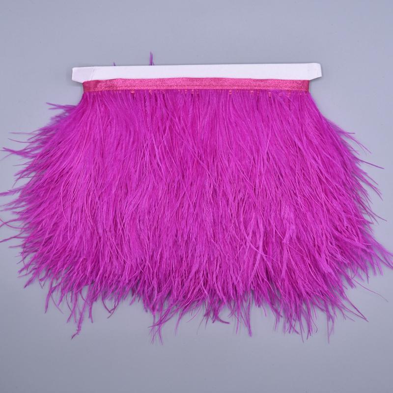 10 Mètres Plumes d'Autruche Colorées sur Passepoil Ruban 8-10 cm Franges de Jupe sur Bande Garnitures Plumes d'Autruche Garnitures de Couture Décoration