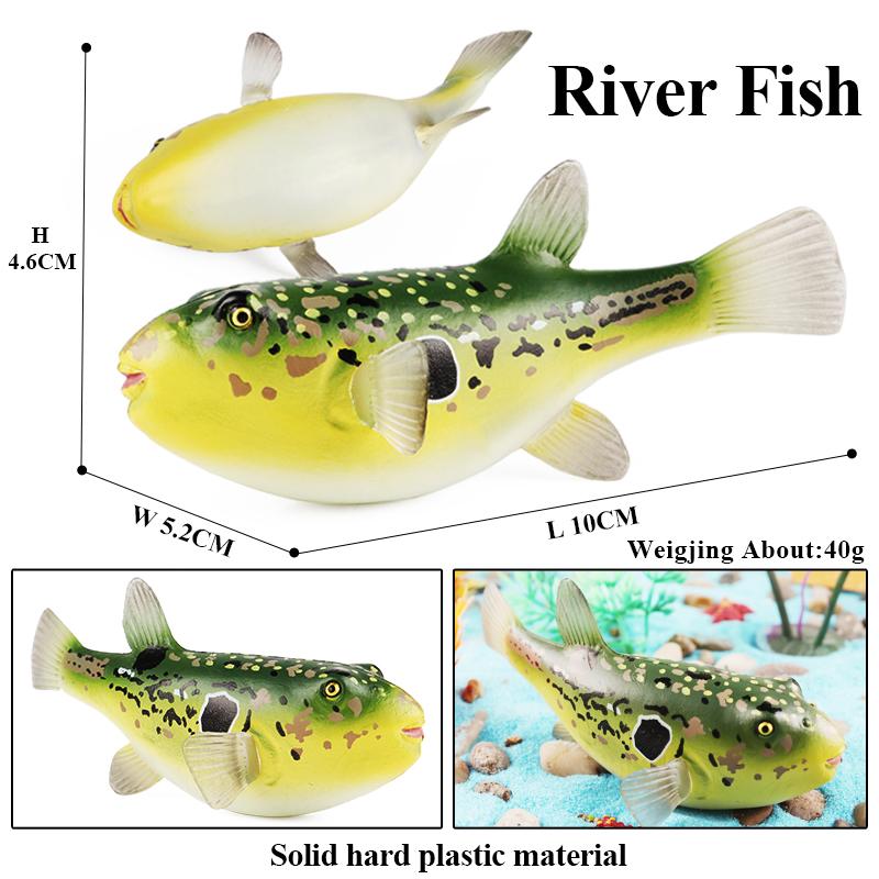 Oenux Animale din Viața Marină Coral Caracatiță Nautiloidee Crabul Steaua Mării Model Ocean Figurine de Acțiune Colecție Educațională Jucărie Cadou Copil