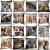 1PC Simple Printed Pillow Cover Cute Cushion Case Creative Cartoon Cat Cushion  Gift Cat Lovers
