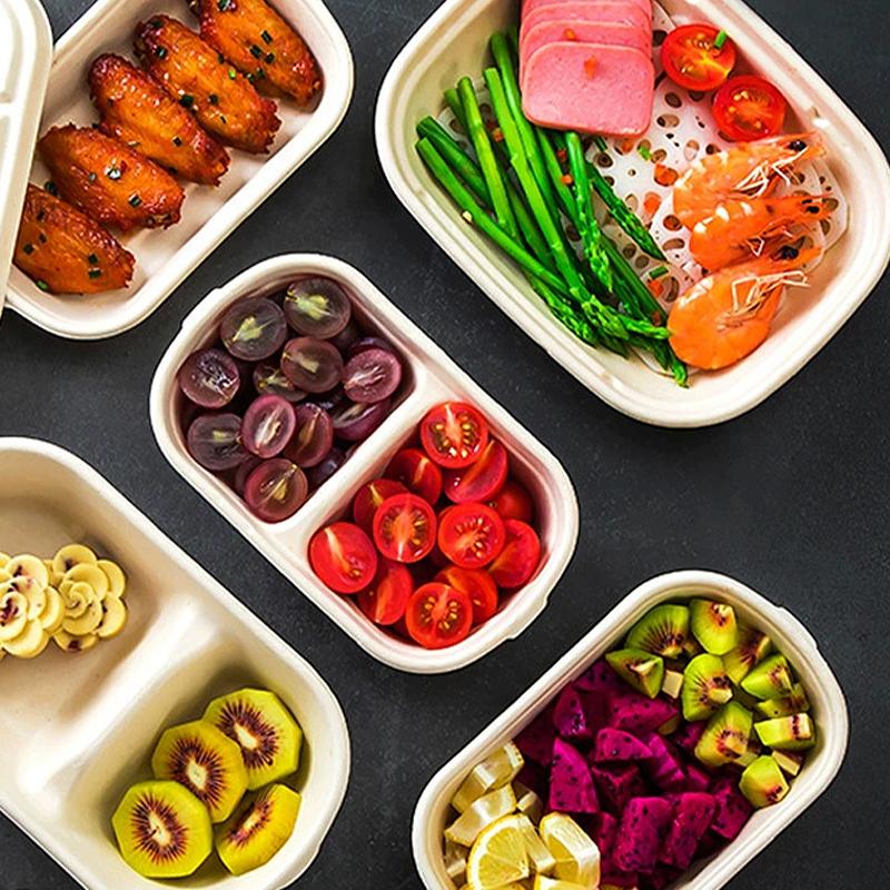 10/50Pcs Oval Sugarcane Bagasse Boxes Eco-Friendly Biodegradable Food Containers W/Pet Lid