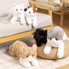Piccolo gatto peluche giocattolo casa divano auto decorazione bambola bambini compagno cuscino regalo simulazione gatto bambola