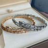 Slangengraat Zirkoon Armband Dames Mode Smalle Editie Serpentine Openingsarmband