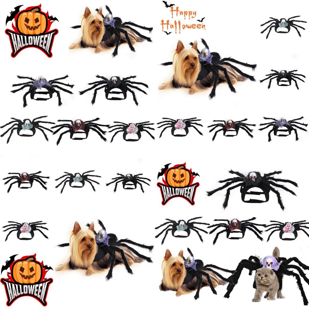 Halloween Haustier Hund Katze Simulation Totenkopf Schwarze Spinne Kostüm