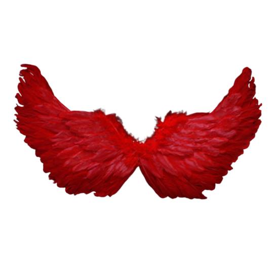 Angel Feather Wings with Elastic Straps Bright Color Lightweight Costume Cosplay Wings Photography Props