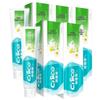 NICE Cooling Ice Chrysanthemum Mint Toothpaste