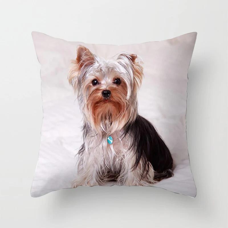 Schlafzimmer Sofa Lendenkissenbezug Auto Dekoration Niedlicher Hund Yorkie Yorkshire Dekor Druck Kissenbezug