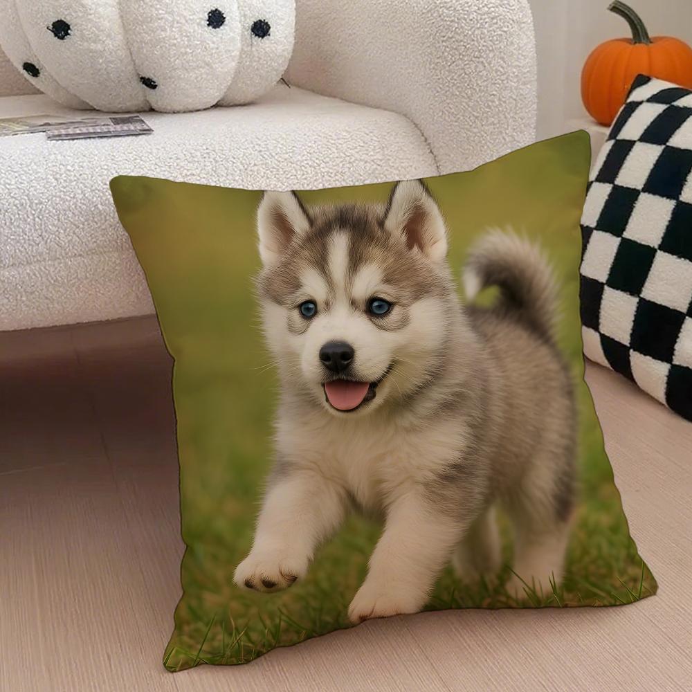 Cute Funny Siberian Husky Cushion Cover Throw Pillow Cover Hidden Button Durable Polyester Chair Cushion