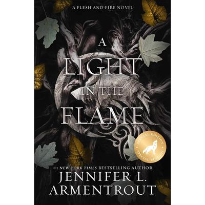 A Light In the Flame Paperback UKN2970