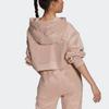 adidas Casual Loose Short Hooded Sweatshirt Women Sweatshirt Pink GL7337