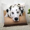 Pillowcase Dalmatians Modern Home Living Room Decoration ,(1)