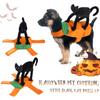 Funny Pet Costumes, Cats And Dogs Transformed Into Funny Holiday Costumes, Pet Cosplay Costumes