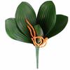 Simulation Artificial Phalaenopsis Plant Leaf Decorative Plant