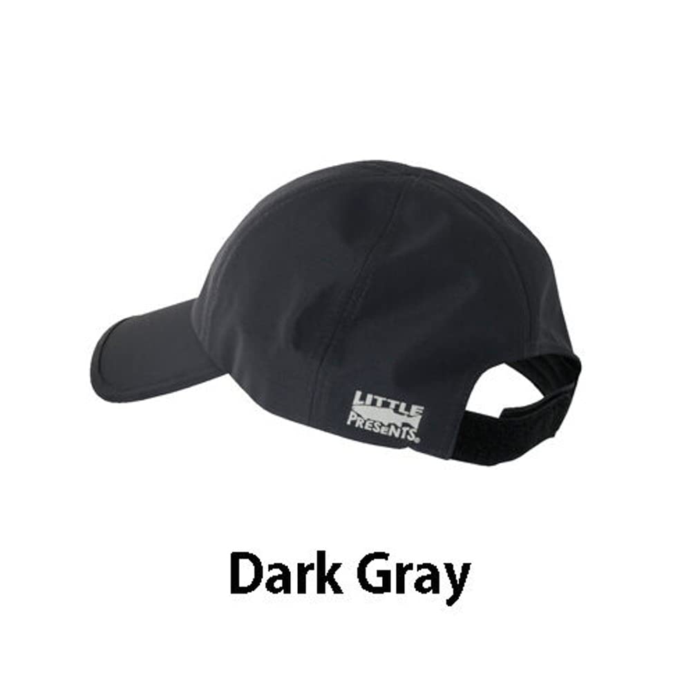 AW Cap Dark Gray Free Size [Little Presents] C-26
