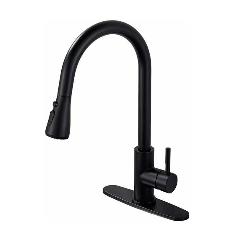 304 Stainless Steel Extendable Pull-Out Kitchen Faucet