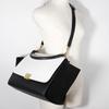 Celine Trapeze Handbag 1695430TA Medium Black / White Calfskin/Suede Women Used
