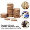 30PCS Natural Wood Slices Craft Wood Kit with Hole Wooden Circles Tree Slices for Arts and Crafts Christmas Ornaments DIY Crafts