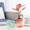 Lazy Hydroponic Blumentopf Automatischer wasserabsorbierender Blumentopf Transparenter doppelschichtiger Kunststoff Selbstbewässerungspflanzer Büro