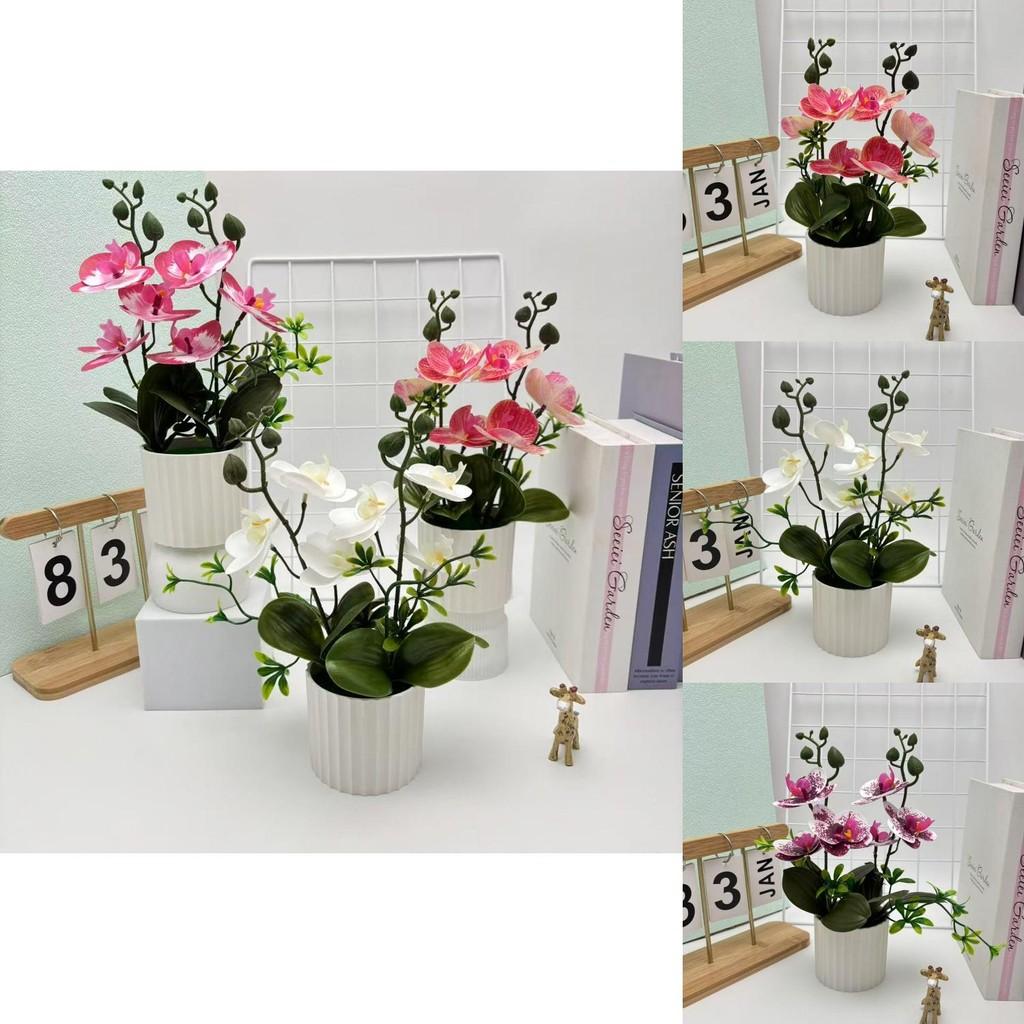 Artificial Butterfly Orchid Potted Plant For Indoor Decoration With Realistic Design For Bedroom And Lounge