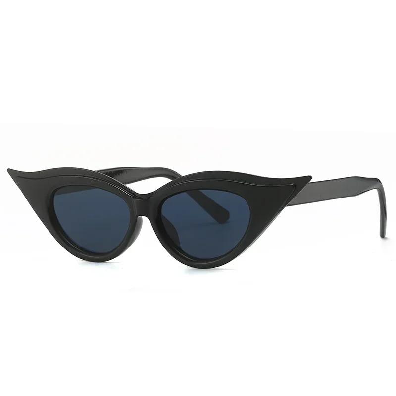 Vintage Cat Eye Sunglasses for Daily Use For Women Men Fashionable Vintage Retro Minimalist Stylish Eyeglasses Female Male
