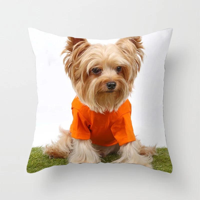 Schlafzimmer Sofa Lendenkissenbezug Auto Dekoration Niedlicher Hund Yorkie Yorkshire Dekor Druck Kissenbezug