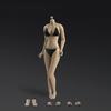 16 Scale Female Action Figure Body, Tan Skin Body with Large Breasts, 12-Inch Model Set, Fits 16 Head Carving, Beautiful Woman Head Sculpt