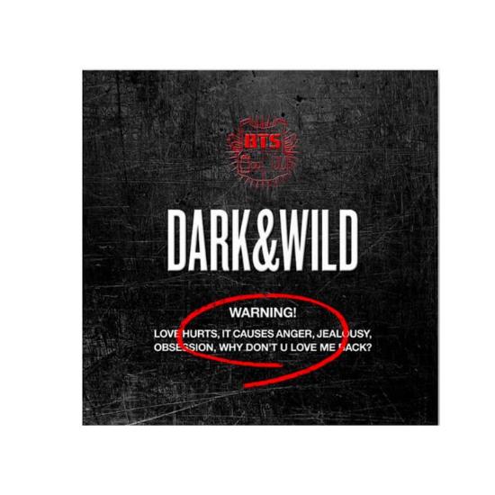 BTS Album Vol. 1 DARK&WILD