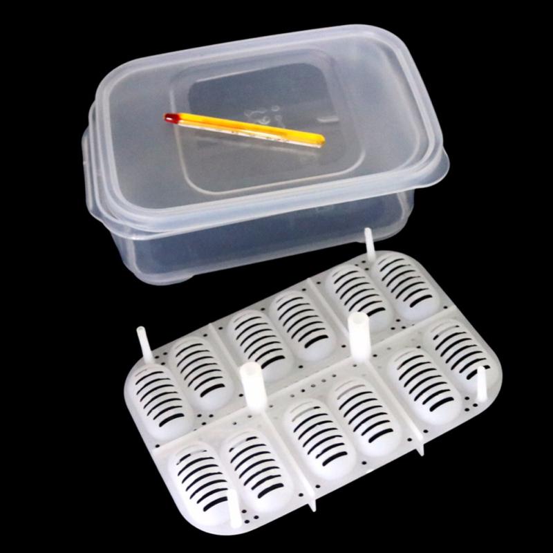 12 Holes Reptile Egg Incubation Tray with Thermometer Incubation Tool for Gecko Lizard Snake Eggs