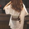 New Crossbody Bag High-end and Fashionable Women's Bag Trendy and Versatile Light Luxury Small Bag Shoulder Bag