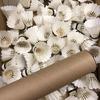 Badminton Shuttle Practice Cheap Outlet Unmarked 205 4 3 Dozen Shuttle 3 No. [for Training! ] [Badminton Badminton] (No. 4/17-23℃, Dozen)