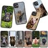 Phone Cover Pig Animal Wild Boar Casing for Xiaomi Poco F7 F6 F8 Ultra F5 X7 X6 X5 X3 NFC M7 M6 Pro C85 C75 C65 C71 C61 Case
