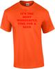 IT'S THE MOST WONDERFUL TIME FOR A BEER Shirt