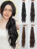 Synthetic Wig 20inch Ponytail Women's Long Hair Sweet And Cool Elastic Band With Strap Low Tie Natural Lightly Curly Ponytail