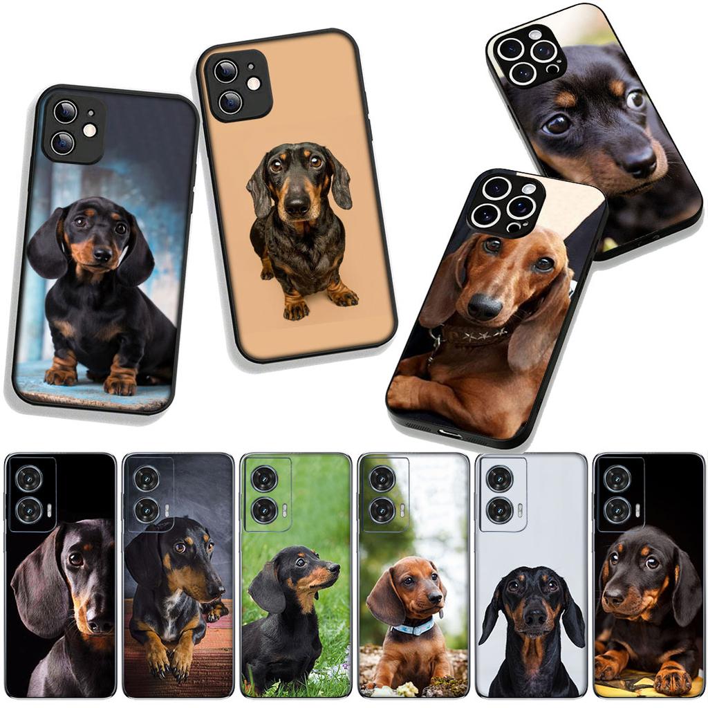 Phone Cover Animal Lovely Dachshund Dog Casing for Apple iPhone 17 16 11 Pro XS Max XR 6 7 8 Plus + 16E SE 2020 Air 5 8+ Case