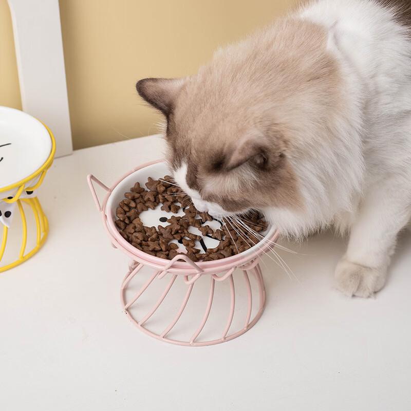 Chang Baosen Ceramic Elevated Cat Bowl