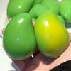 [DO]Handmade Crispy Mango Stress Ball Squeeze Toy Color-Changing Mango Fidget Ball ASMR Sensory Stress Relief Toy[DO]