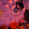 Cross-border LED Halloween Spider Web Lights: Colored Decorative String for Outdoor Parties