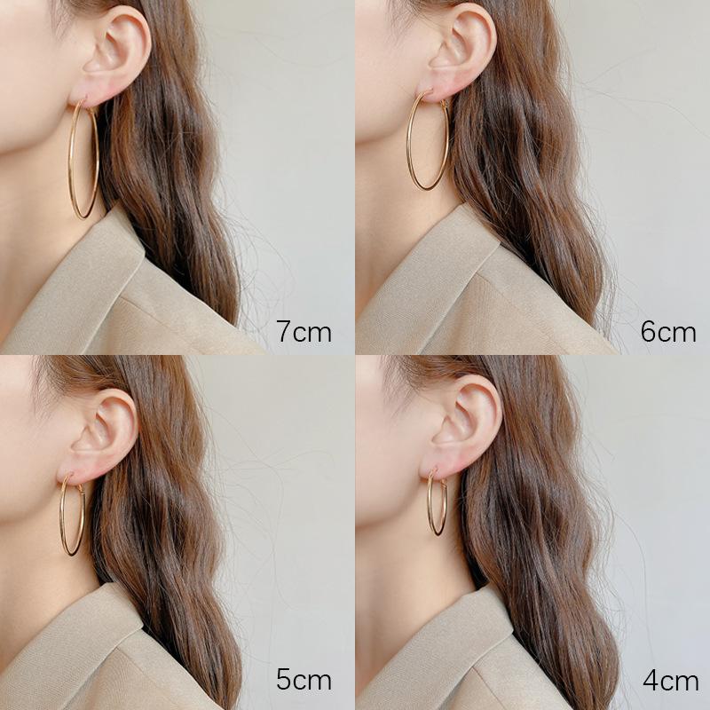 European and American Exaggerated Atmospheric Earrings Female Ins Cold Wind Versatile Metal Earrings 925 Silver Needle Internet Celebrity Ear Jewelry