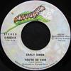 7-Zoll Schallplatte CARLY SIMON - You're So Vain E45824 Elektra 1972 Kanada Rock Gebraucht